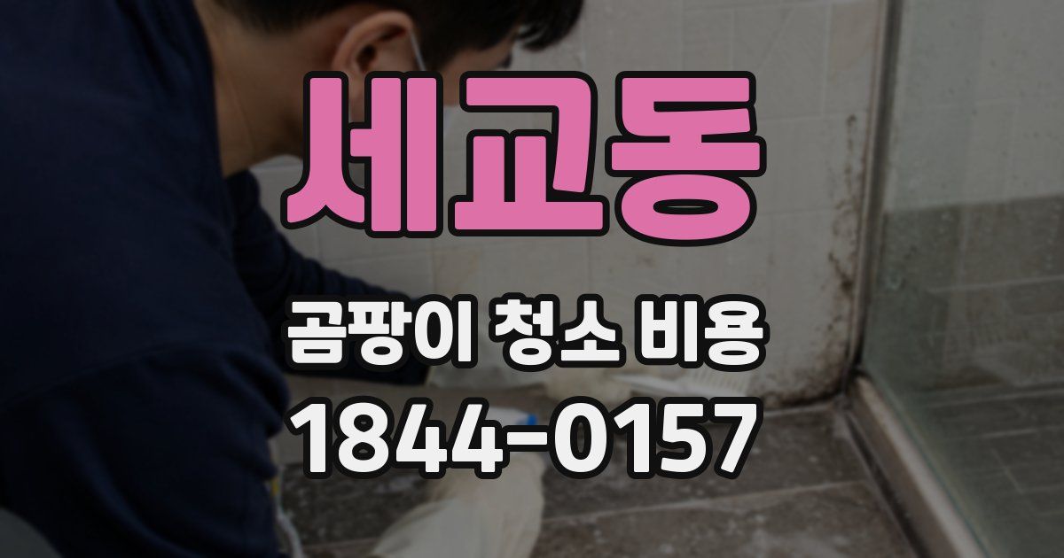 세교동 곰팡이 청소 비용