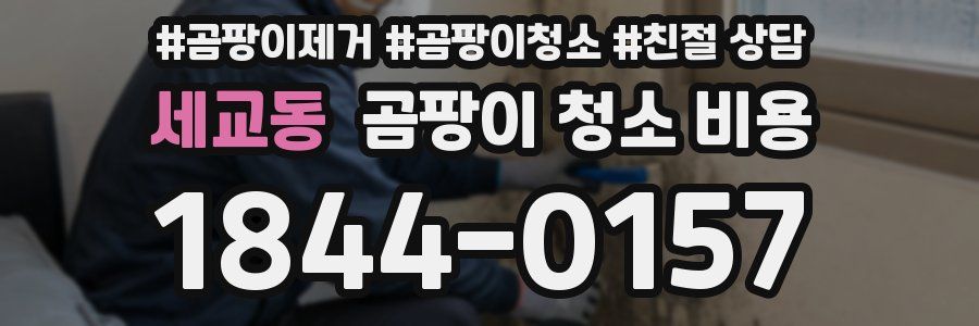 세교동 곰팡이 청소 비용
