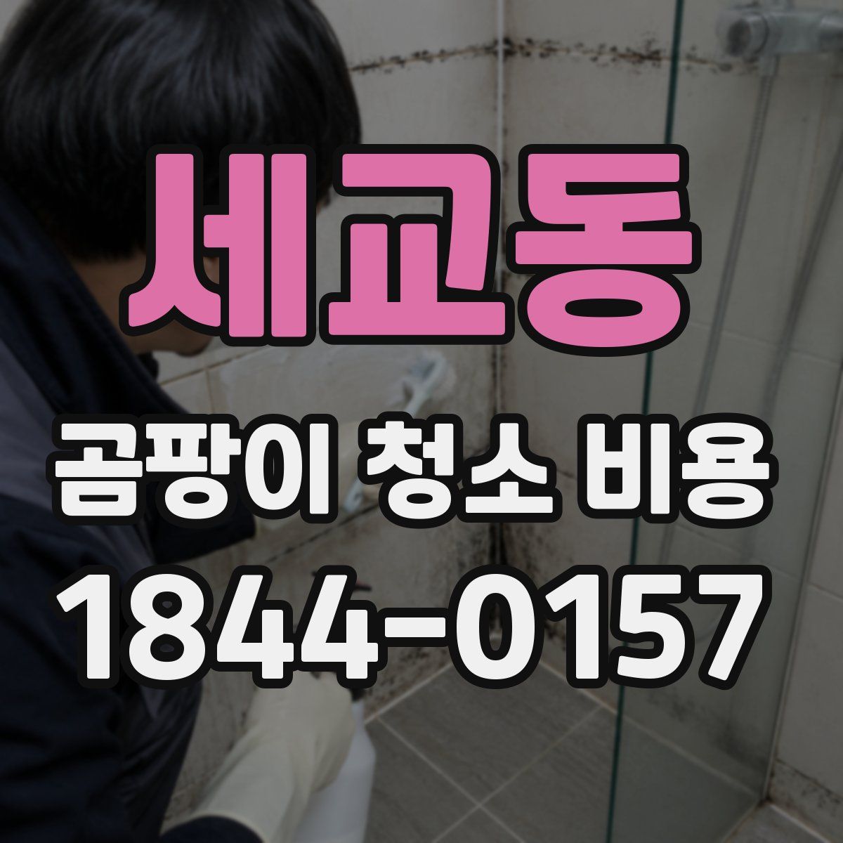 세교동 곰팡이 청소 비용