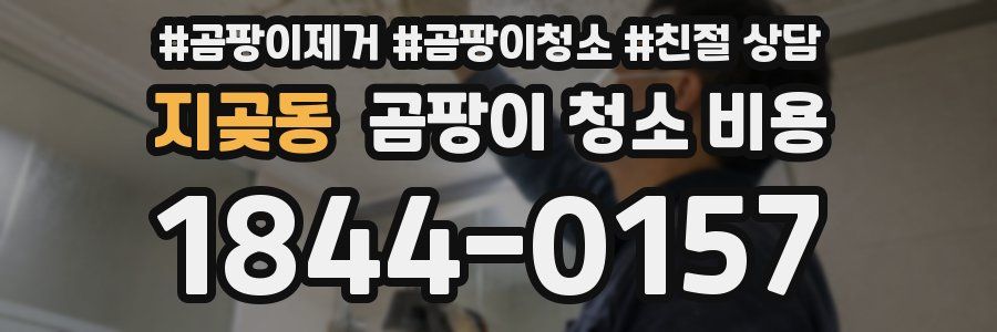 지곶동 곰팡이 청소 비용