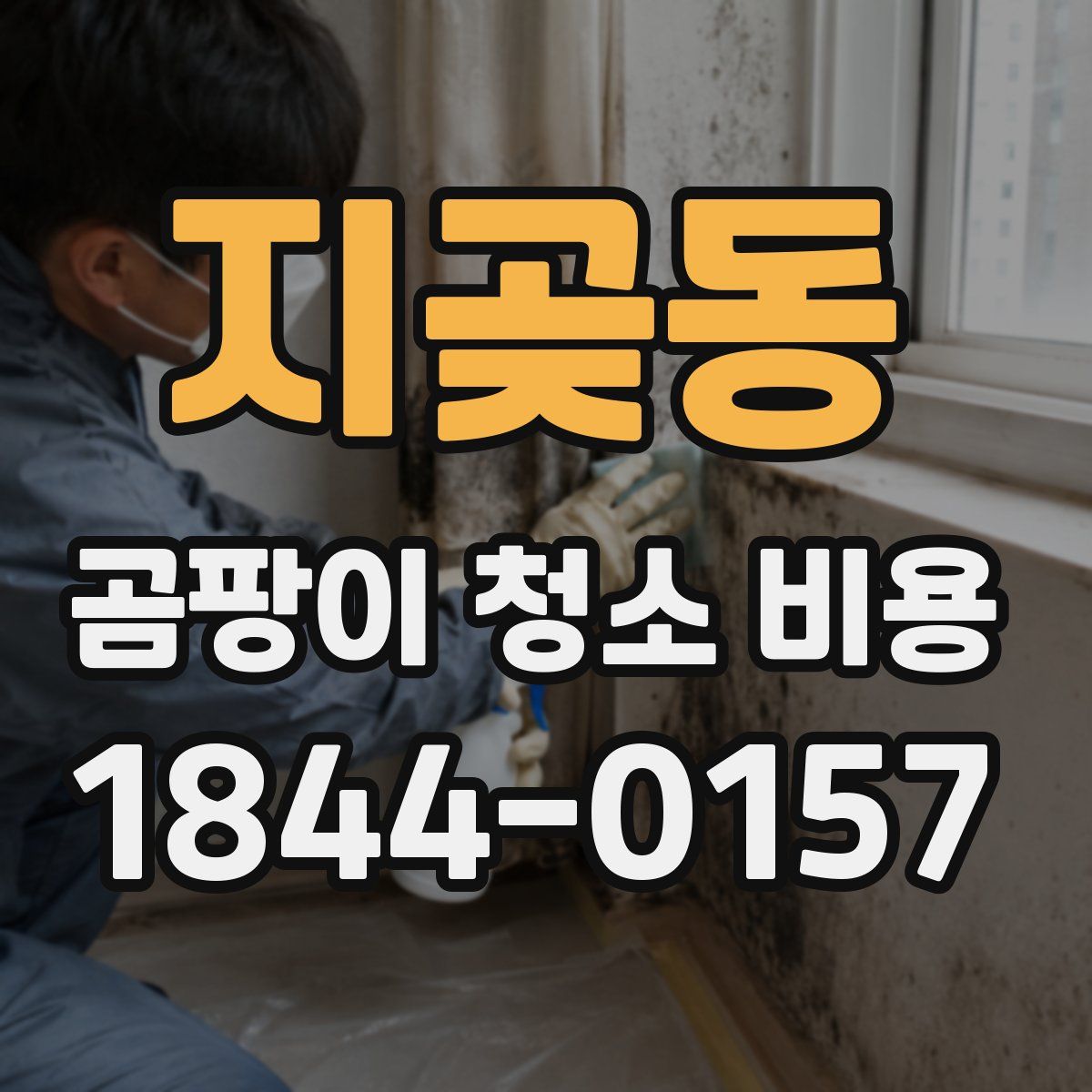 지곶동 곰팡이 청소 비용
