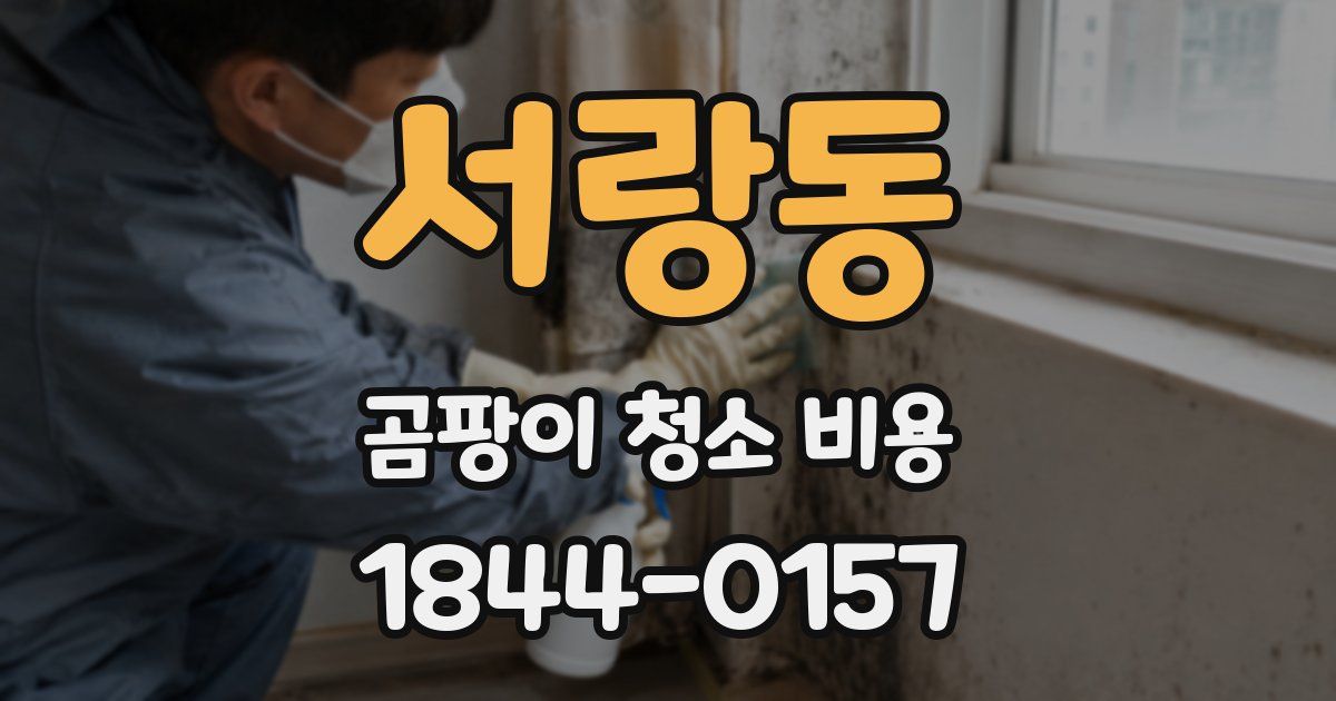 서랑동 곰팡이 청소 비용