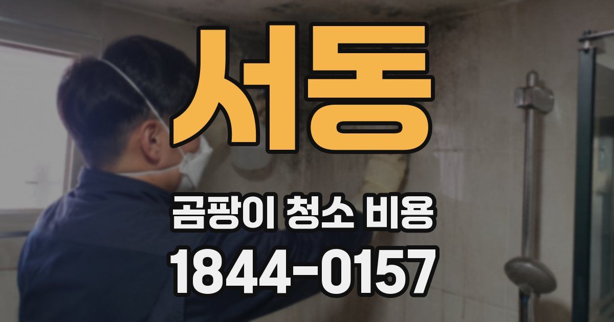 서동 곰팡이 청소 비용