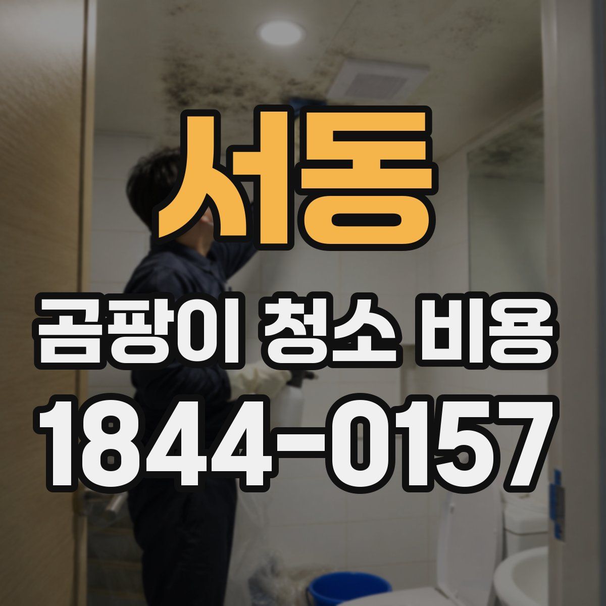 서동 곰팡이 청소 비용