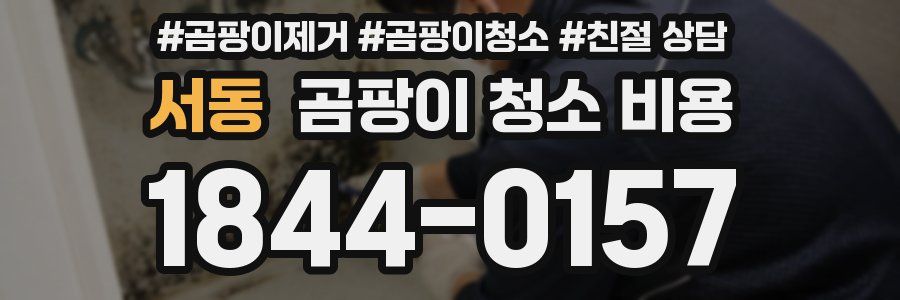서동 곰팡이 청소 비용