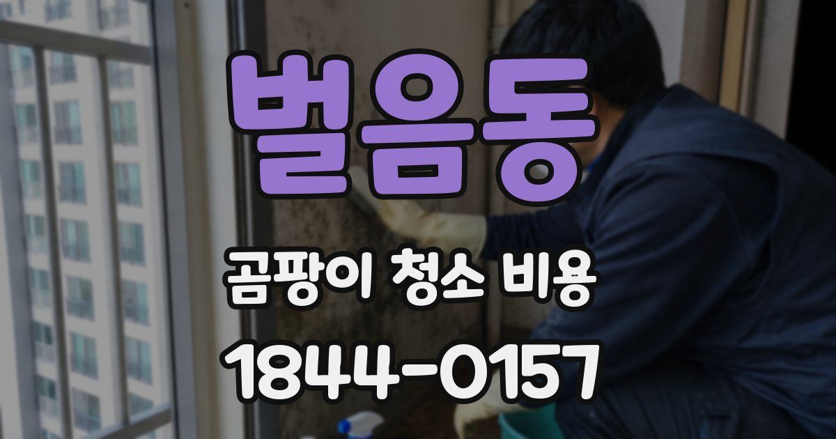 벌음동 곰팡이 청소 비용