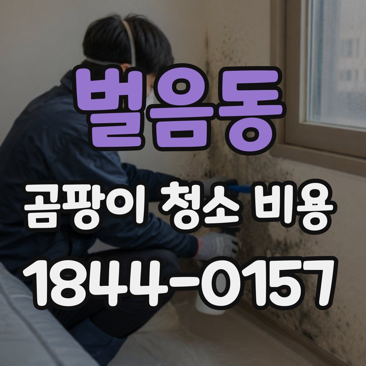 벌음동 곰팡이 청소 비용