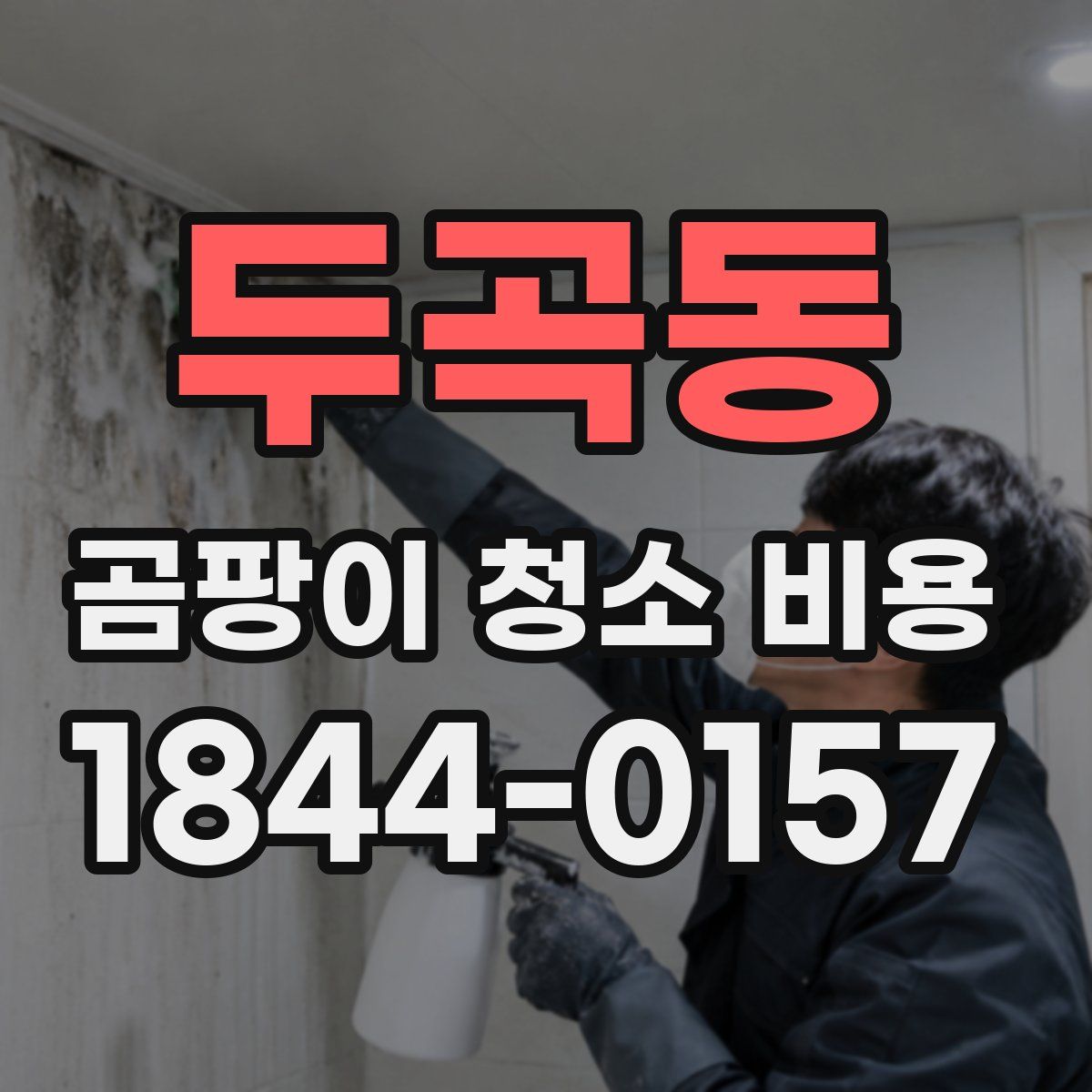 두곡동 곰팡이 청소 비용