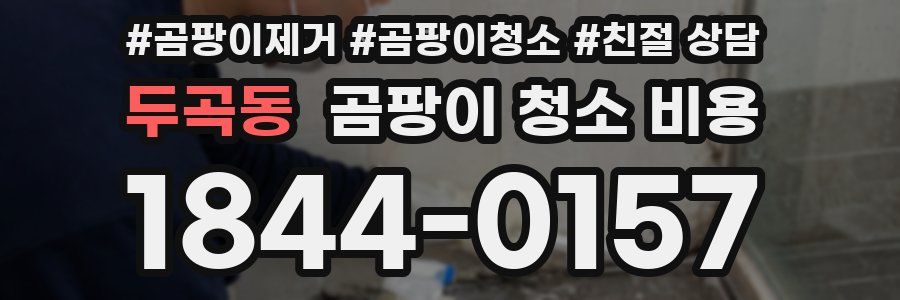 두곡동 곰팡이 청소 비용