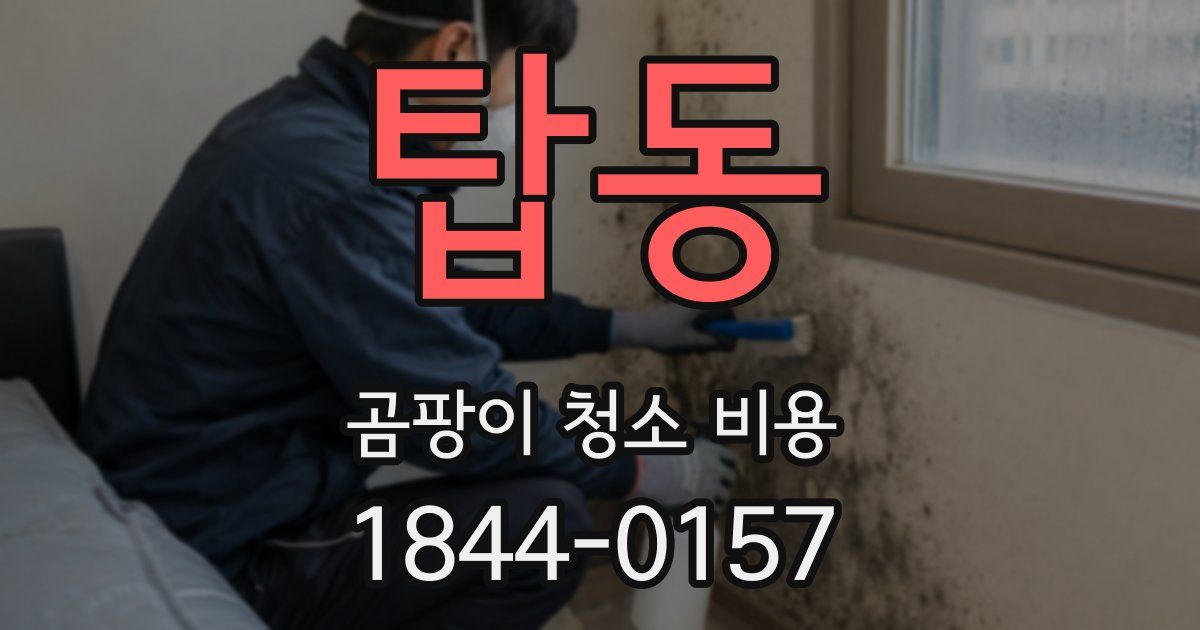 탑동 곰팡이 청소 비용