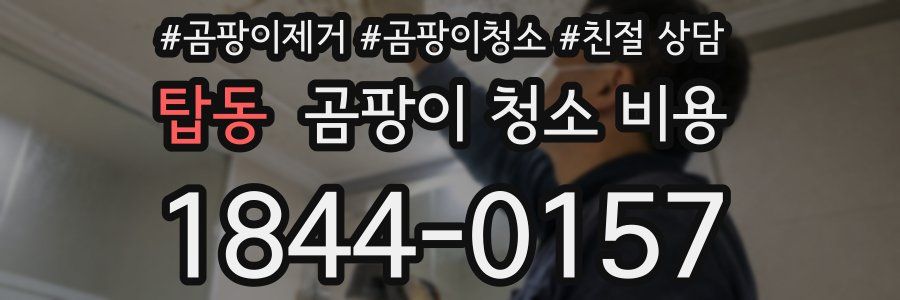 탑동 곰팡이 청소 비용