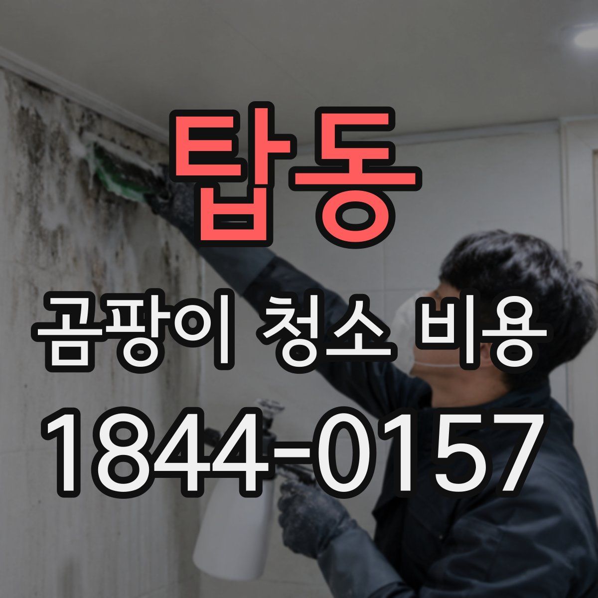 탑동 곰팡이 청소 비용