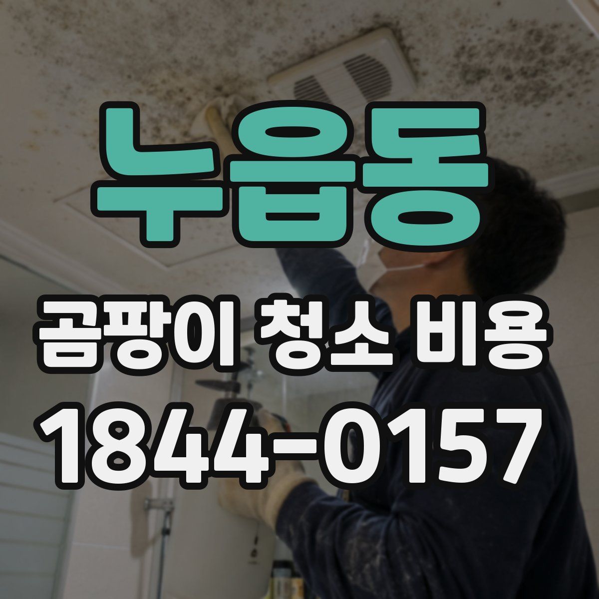 누읍동 곰팡이 청소 비용