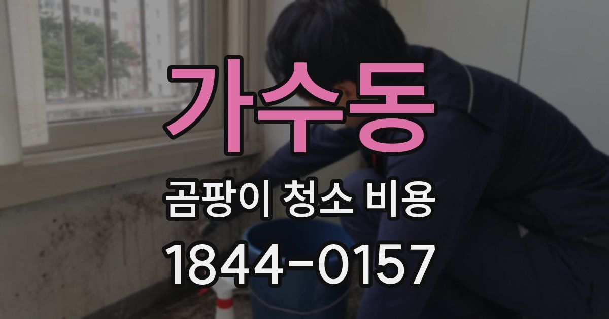 가수동 곰팡이 청소 비용