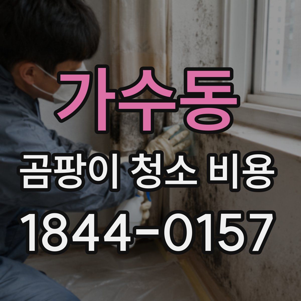 가수동 곰팡이 청소 비용