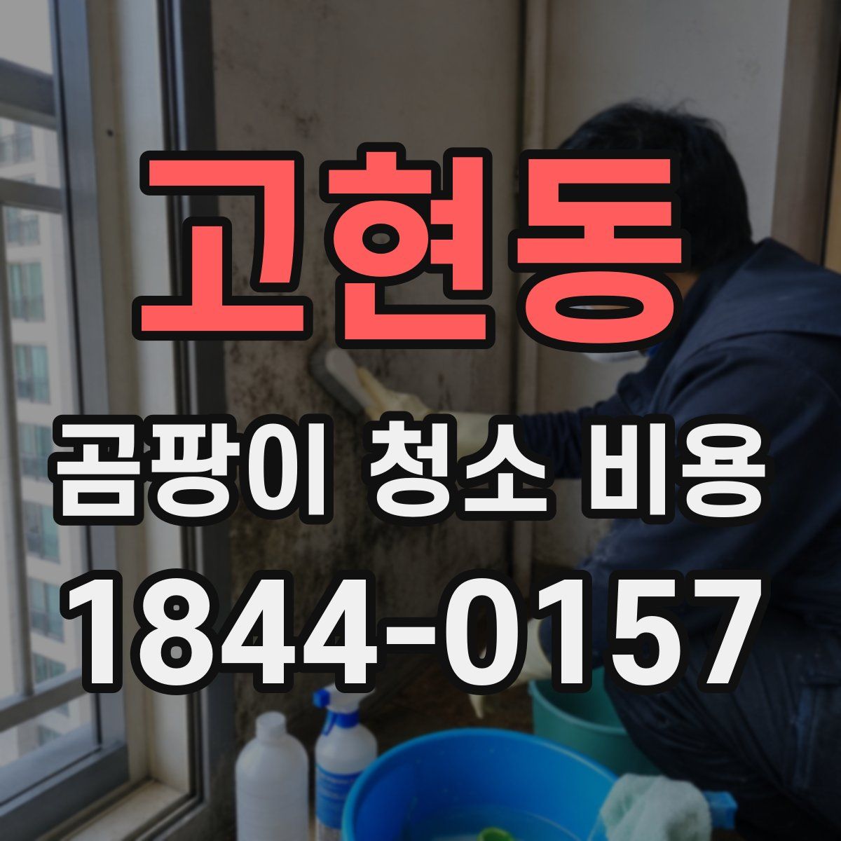 고현동 곰팡이 청소 비용