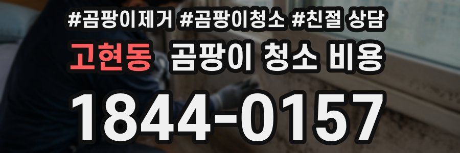 고현동 곰팡이 청소 비용