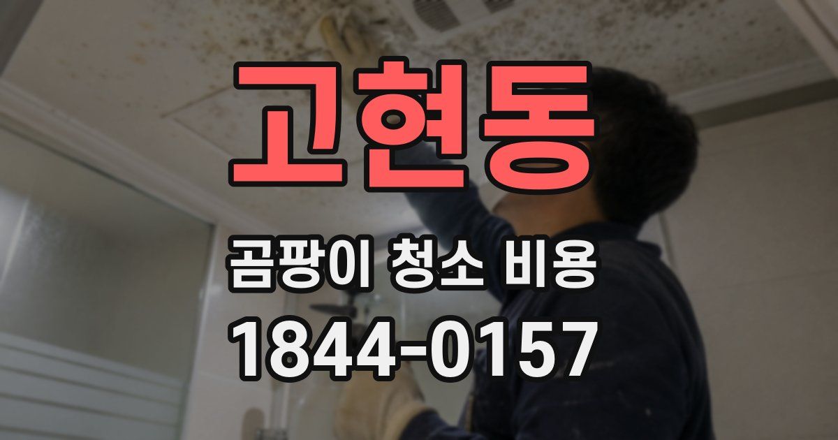 고현동 곰팡이 청소 비용