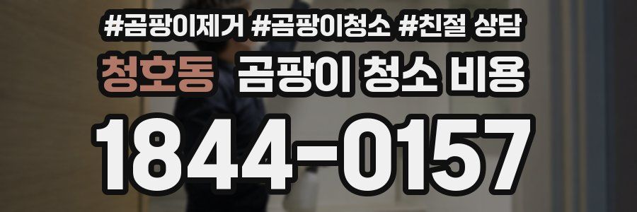 청호동 곰팡이 청소 비용