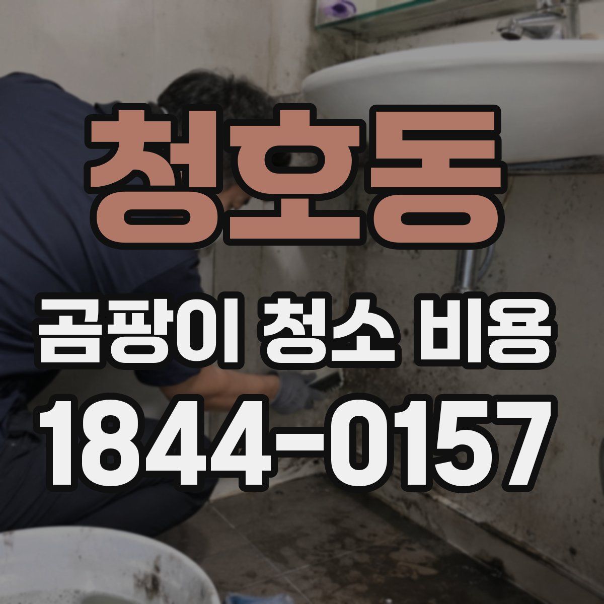 청호동 곰팡이 청소 비용