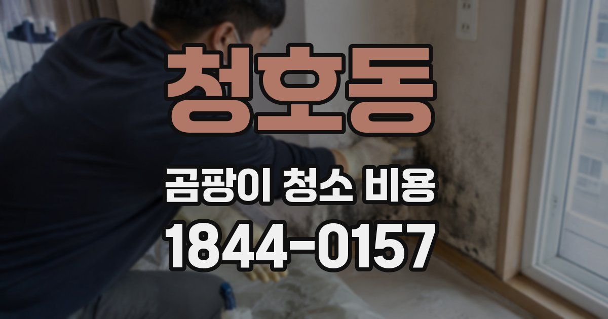 청호동 곰팡이 청소 비용