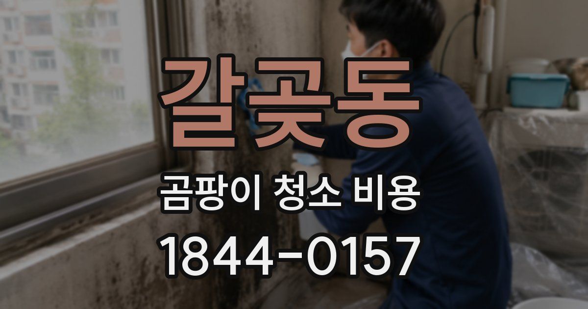 갈곶동 곰팡이 청소 비용