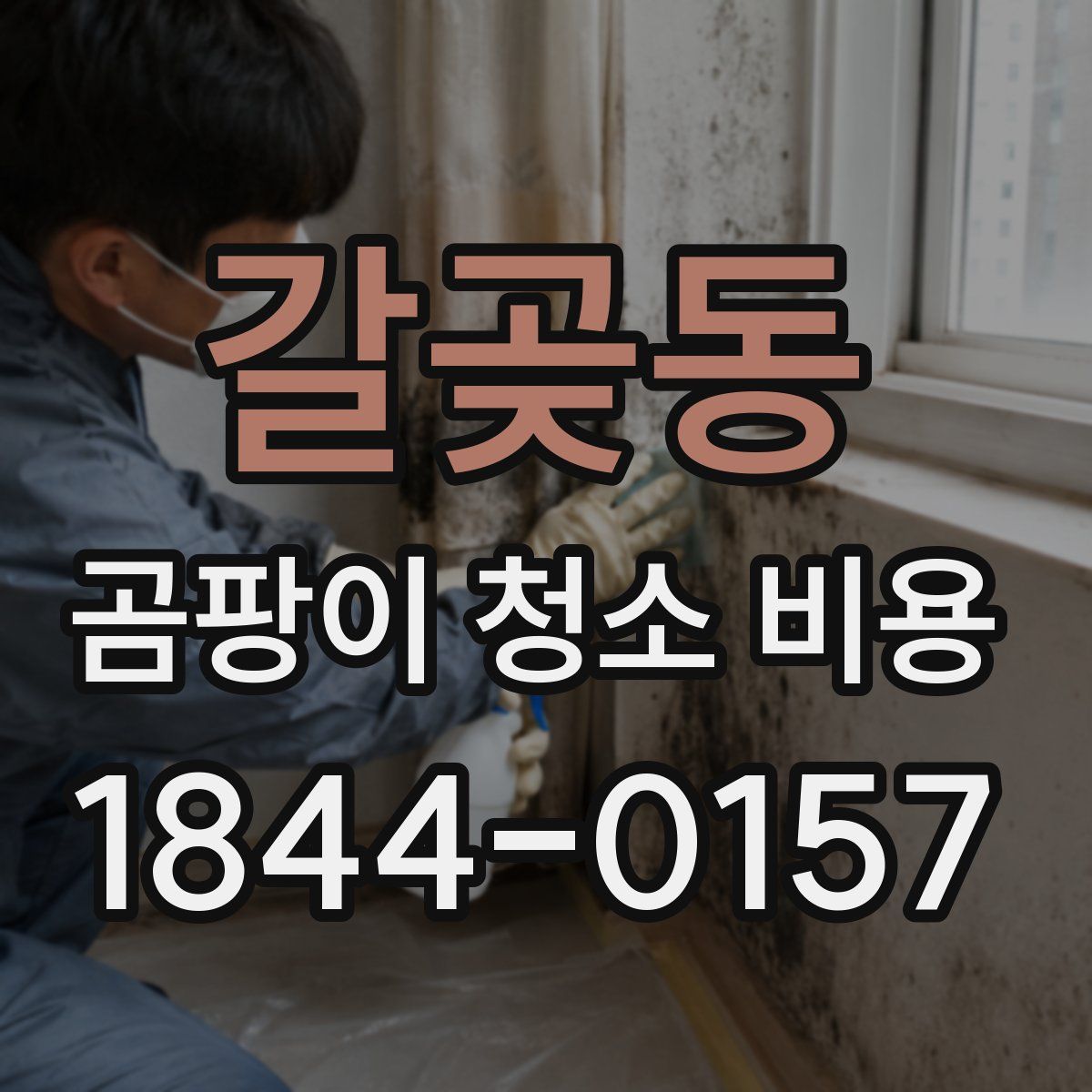 갈곶동 곰팡이 청소 비용