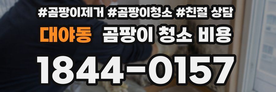 대야동 곰팡이 청소 비용