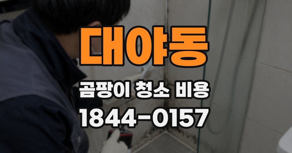 대야동 곰팡이 청소 비용