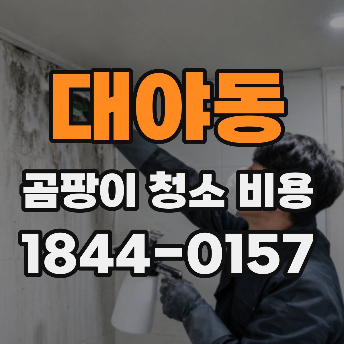 대야동 곰팡이 청소 비용