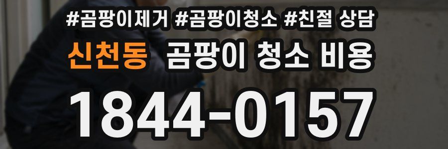 신천동 곰팡이 청소 비용