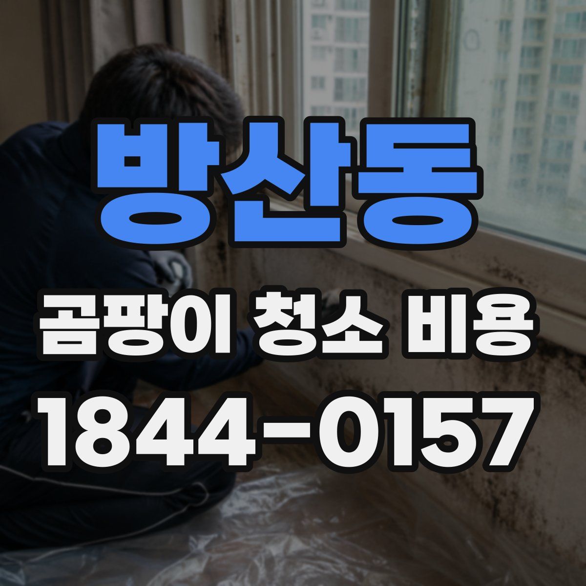 방산동 곰팡이 청소 비용
