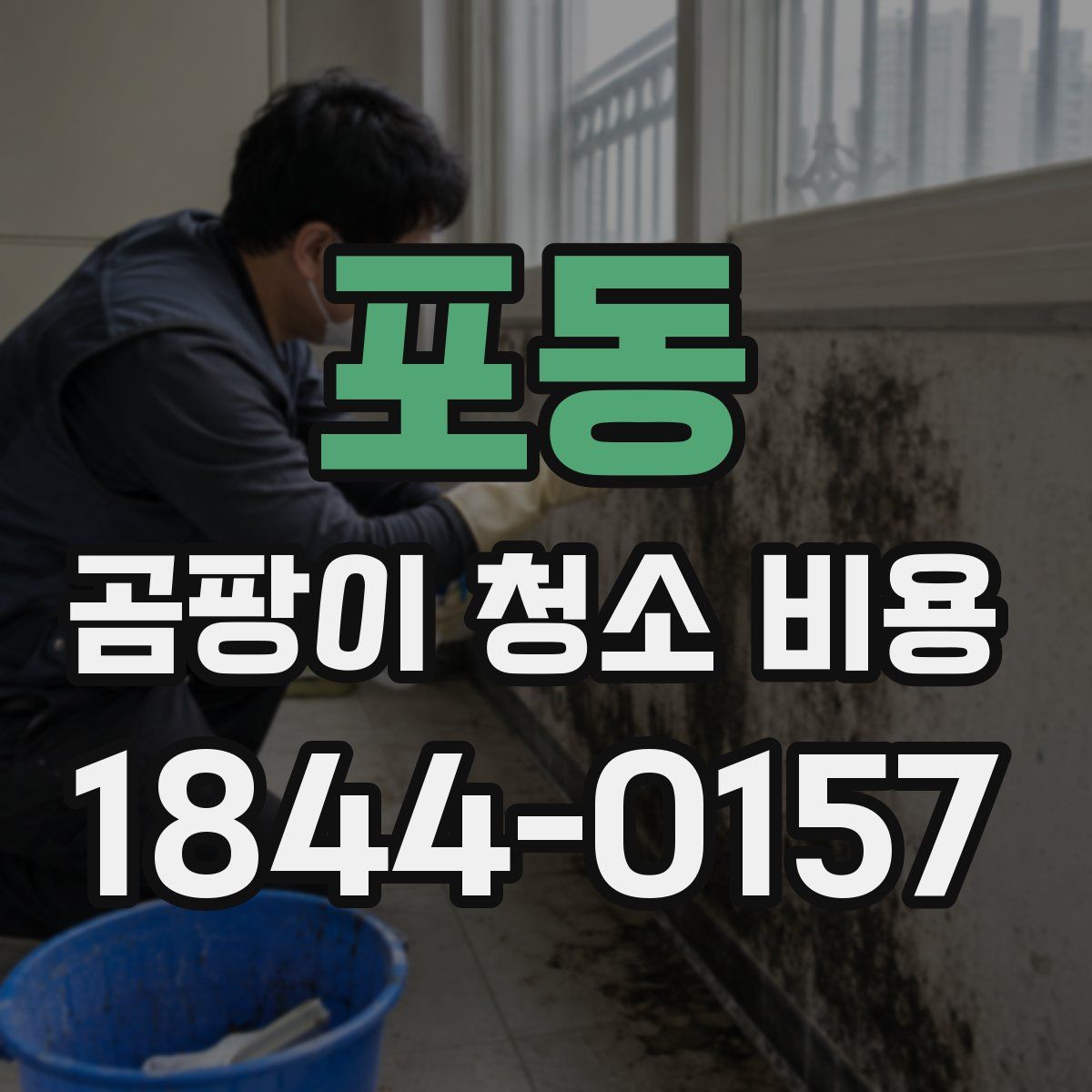 포동 곰팡이 청소 비용