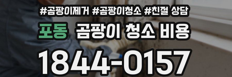 포동 곰팡이 청소 비용