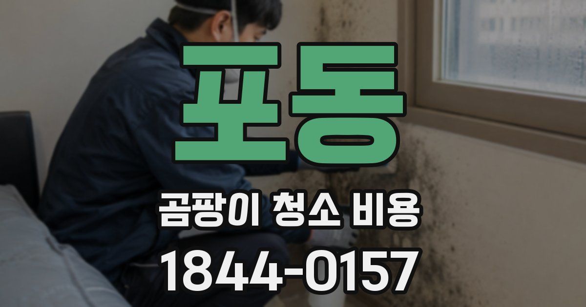 포동 곰팡이 청소 비용