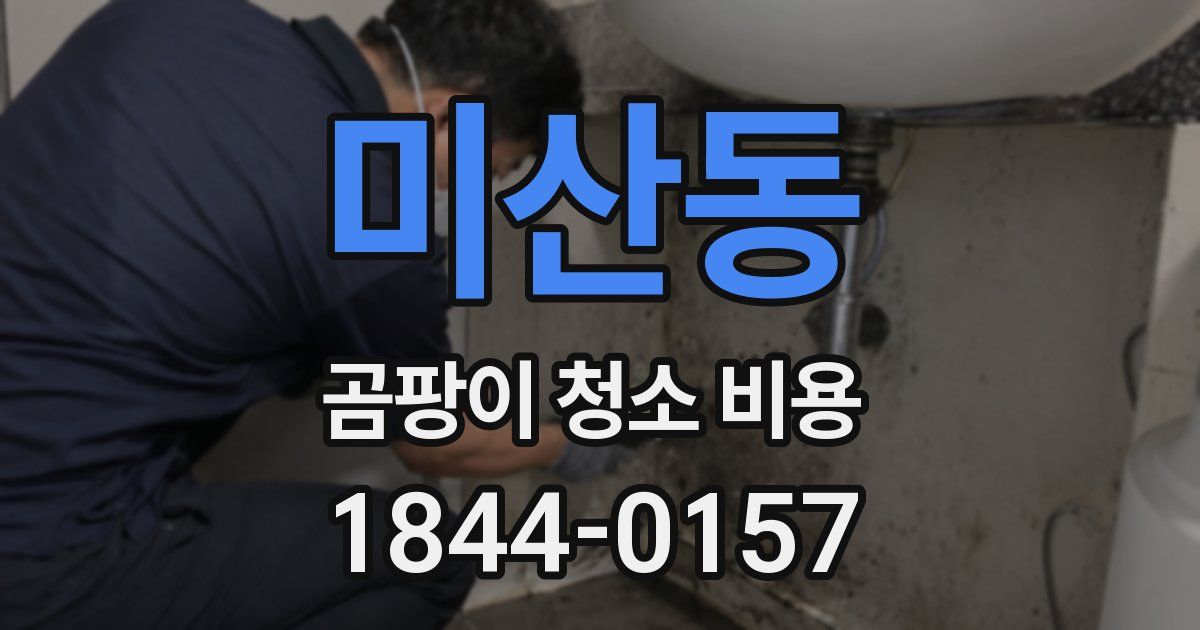 미산동 곰팡이 청소 비용