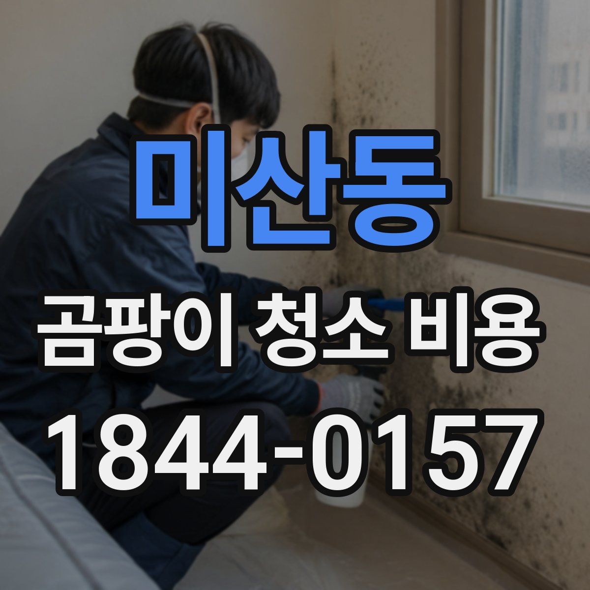 미산동 곰팡이 청소 비용