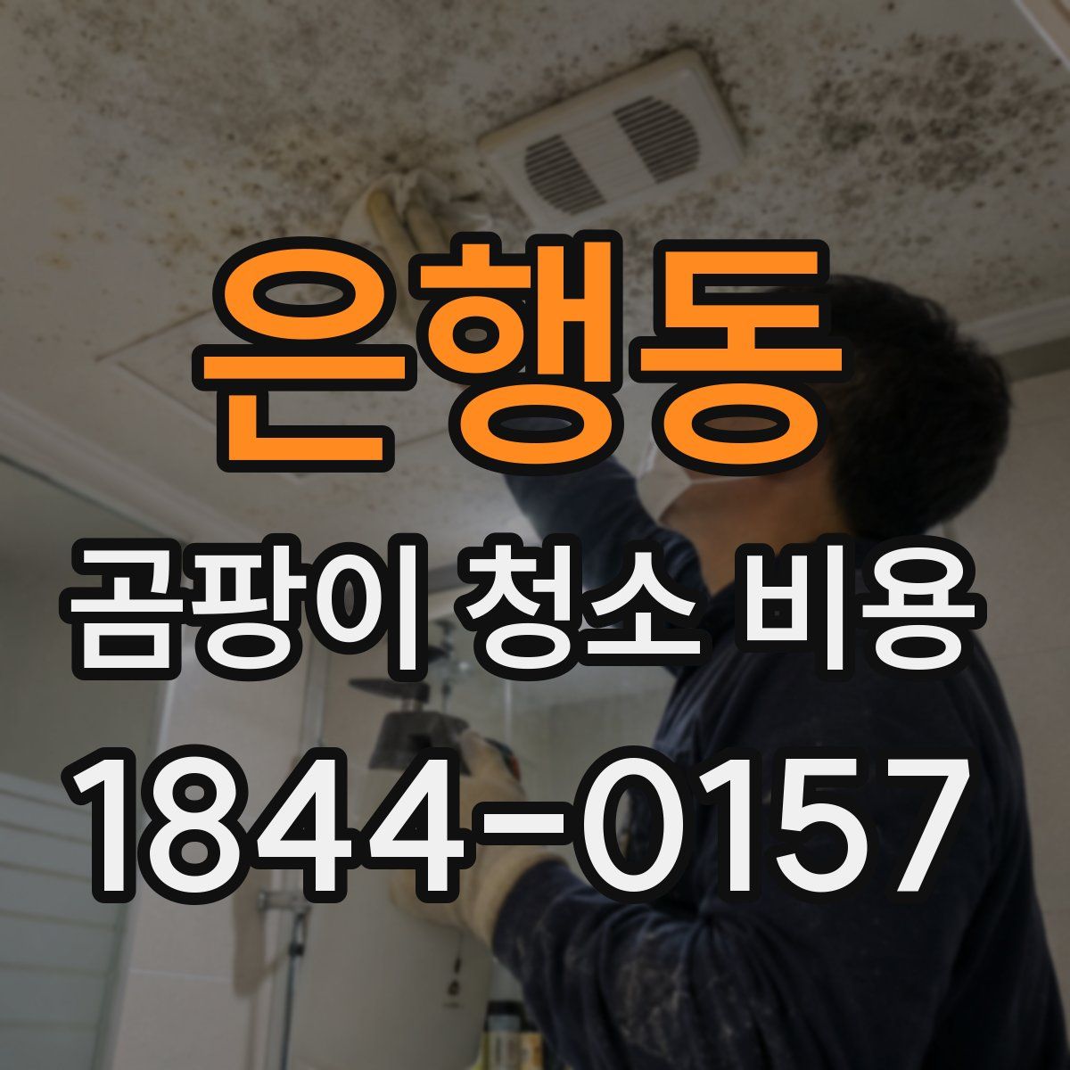 은행동 곰팡이 청소 비용