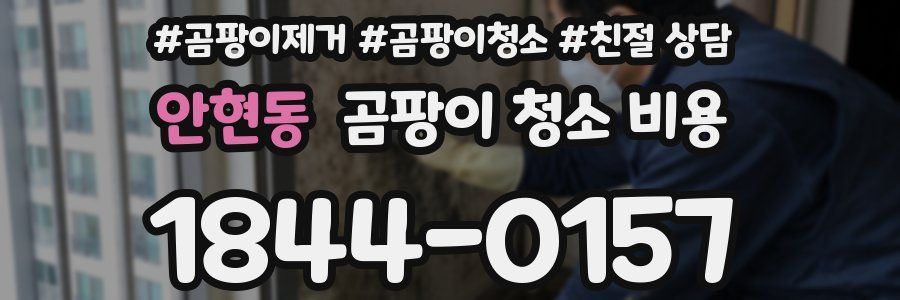 안현동 곰팡이 청소 비용