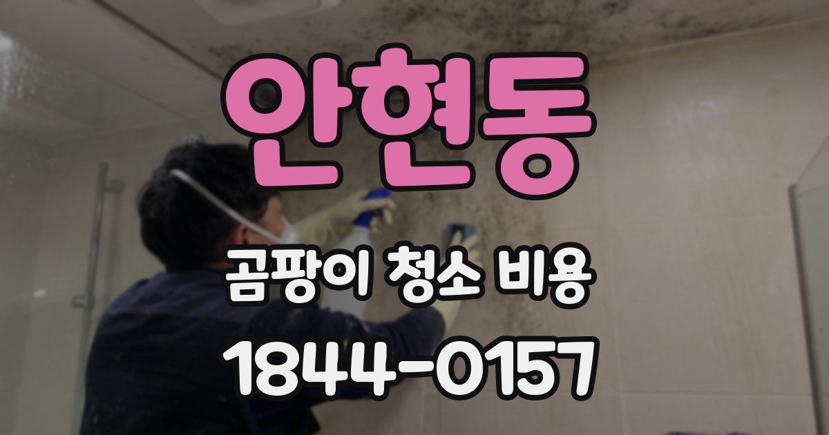 안현동 곰팡이 청소 비용