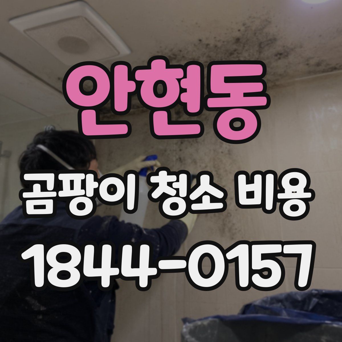안현동 곰팡이 청소 비용
