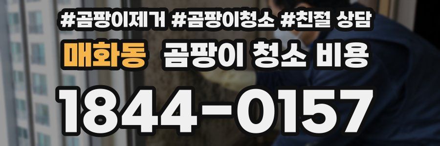 매화동 곰팡이 청소 비용
