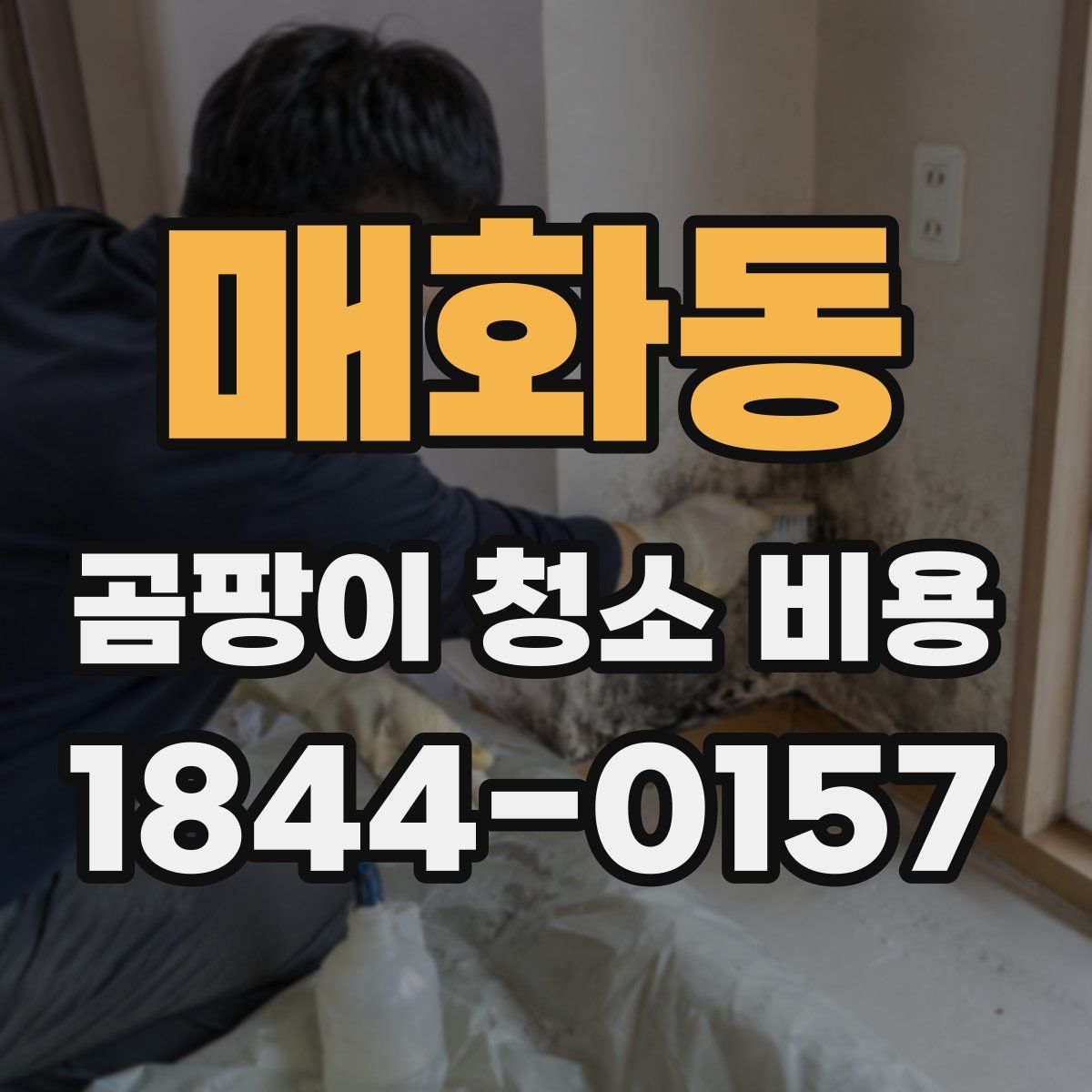 매화동 곰팡이 청소 비용