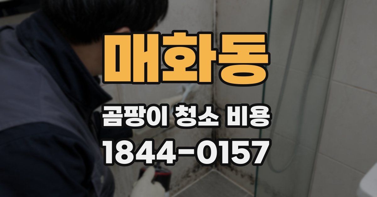 매화동 곰팡이 청소 비용