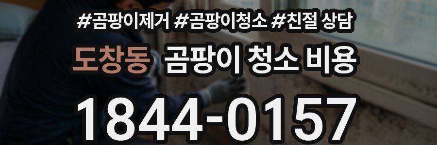 도창동 곰팡이 청소 비용