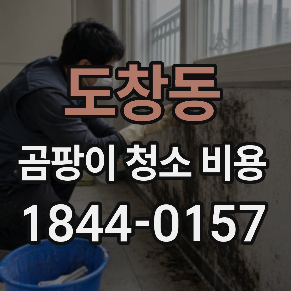 도창동 곰팡이 청소 비용