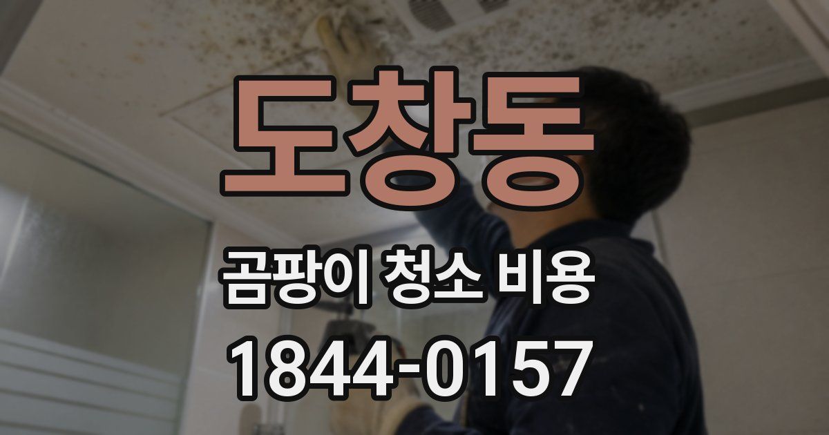 도창동 곰팡이 청소 비용