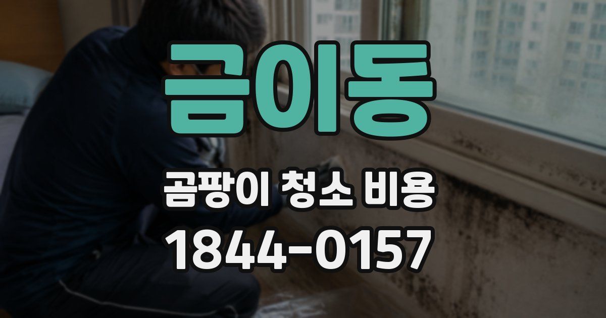 금이동 곰팡이 청소 비용