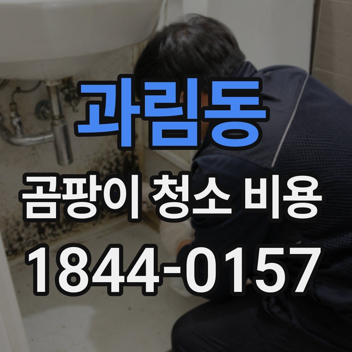 과림동 곰팡이 청소 비용 체크리스트와 견적 비교 팁