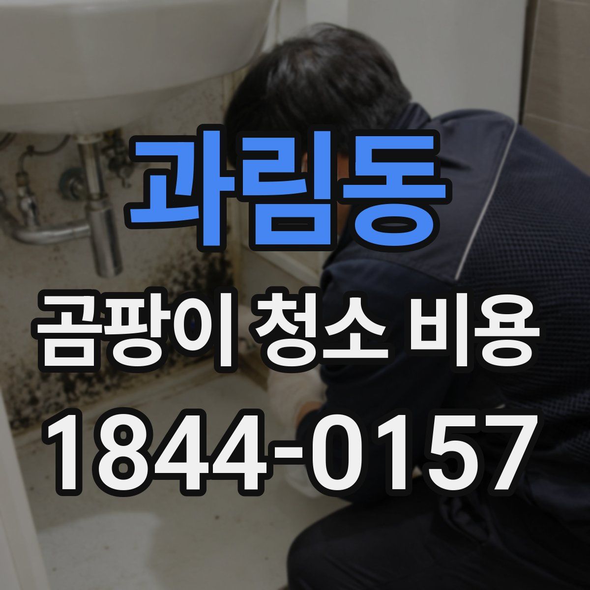 과림동 곰팡이 청소 비용
